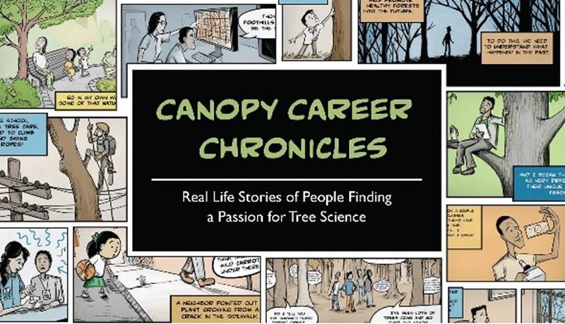 Canopy Career Chronicles