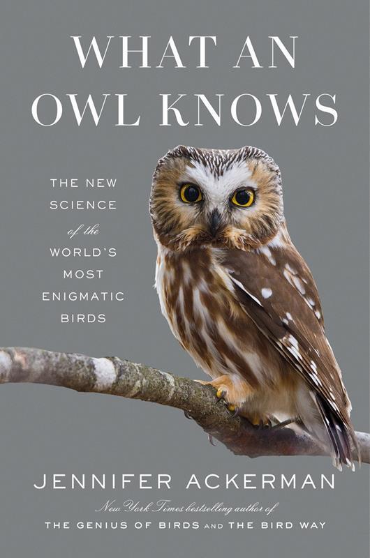 What an Owl Knows - September 2024,9780593298886