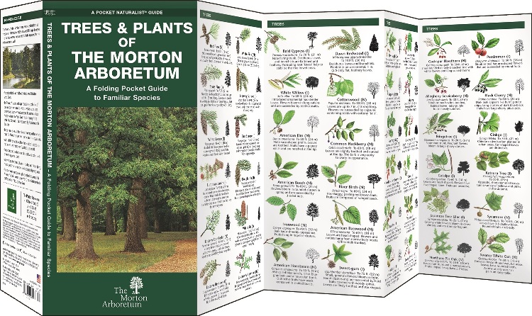 Pocket Guide: Trees & Plants of The Morton Arboretum