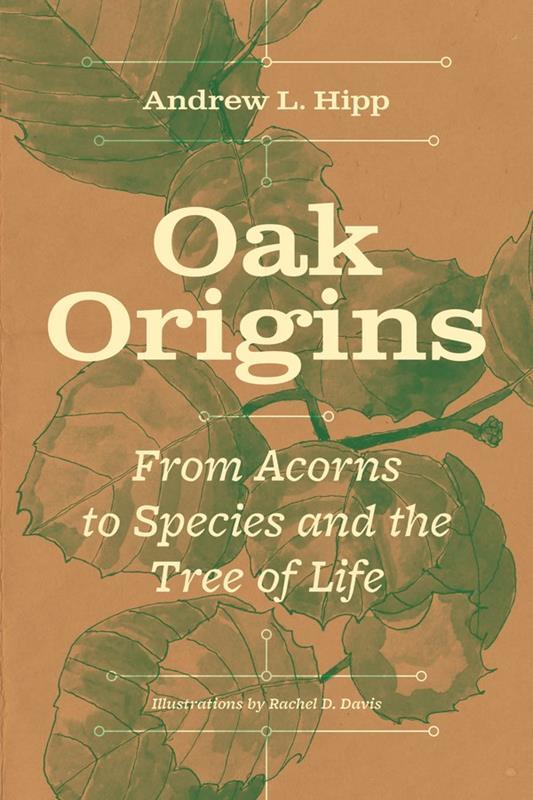 Oak Origins: From Acorns to Species & the Tree of Life,9780226823577